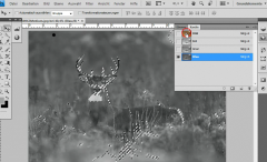 Photoshop-Tutorials: Inspirationen, Tipps und Tricks