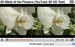 090811_youtube3d