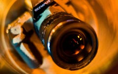 Spiegelreflex-Fotografie erklären in der Medienpädagogik
