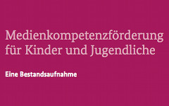 Bestandsaufnahme zur Medienpädagogik
